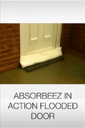 ABSORBEEZ IN ACTION FLOODED DOOR