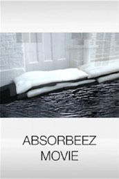 ABSORBEEZ MOVIE